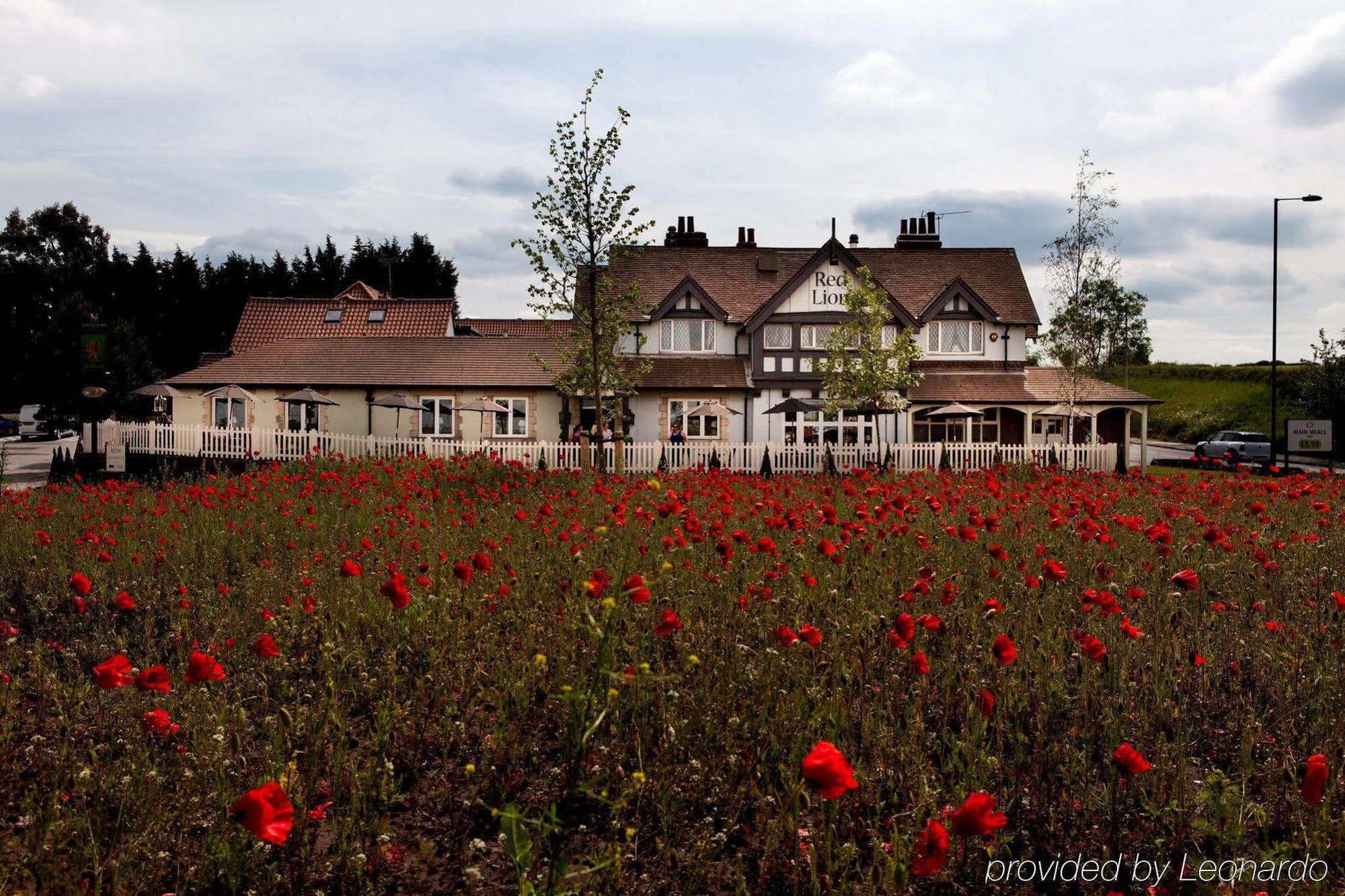 The Red Lion Inn By Chef & Brewer Collection Todwick Exterior photo